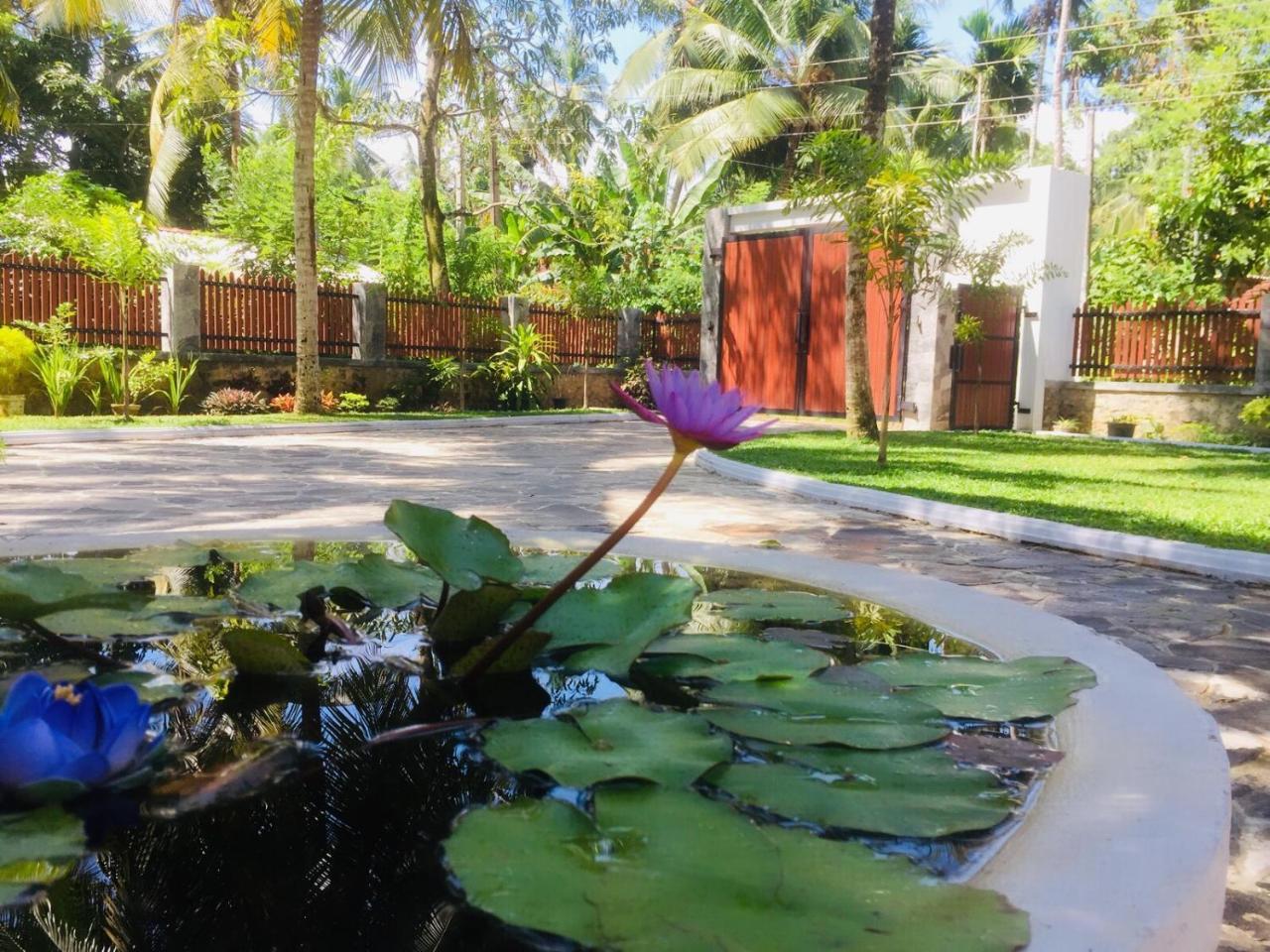 Casa blanca Hotel Ahangama Luaran gambar
