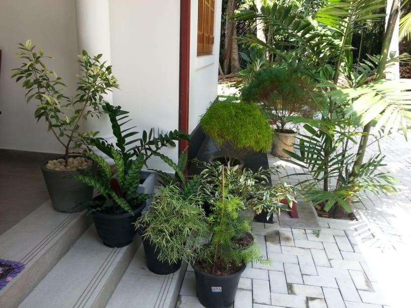 Casa blanca Hotel Ahangama Luaran gambar